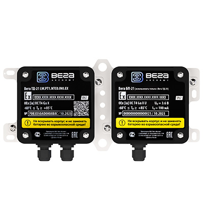 Lатчик температуры во взрывозащищенном исполнении ТД-21